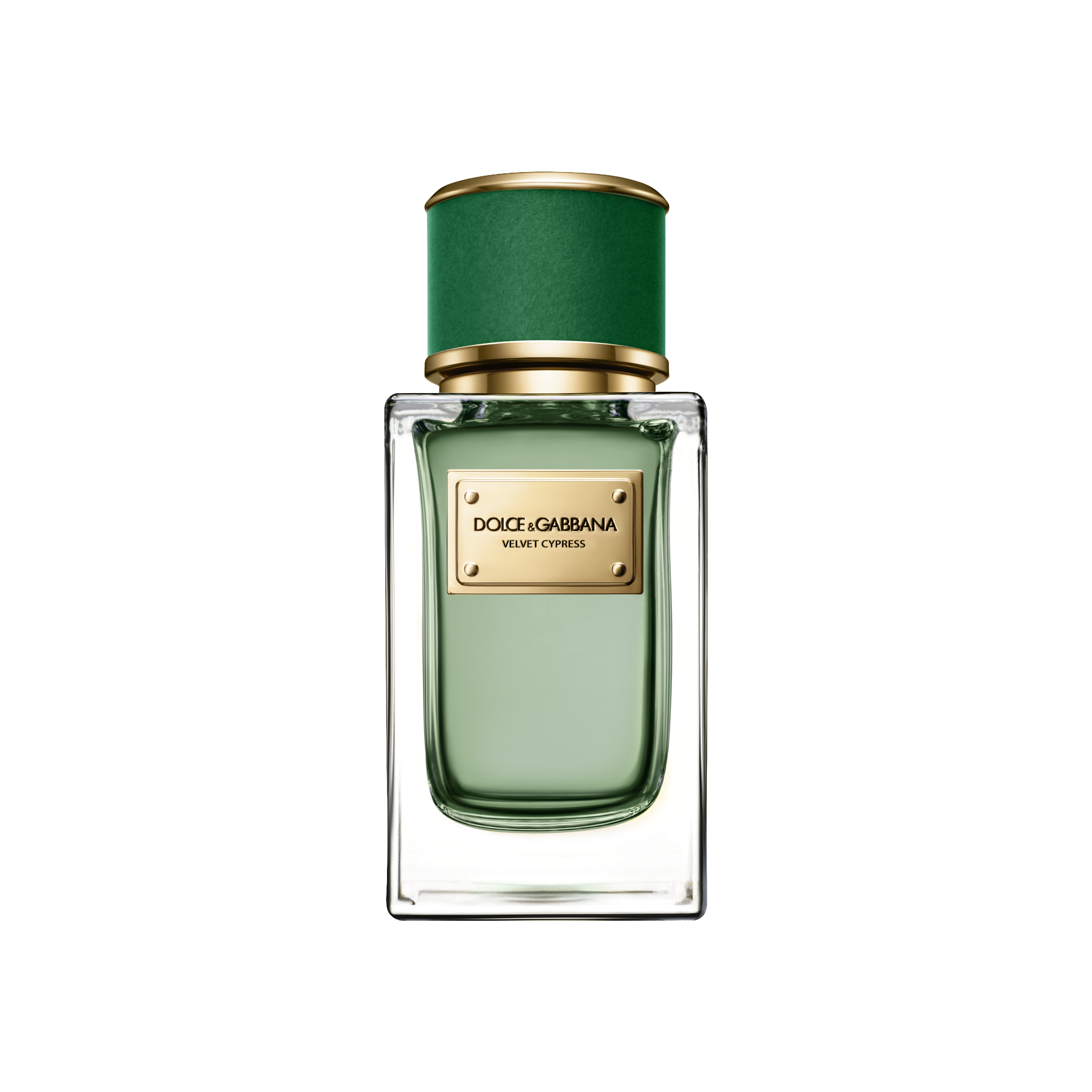 Dolce&Gabbana adds woody citrus scent to Velvet Collection : The