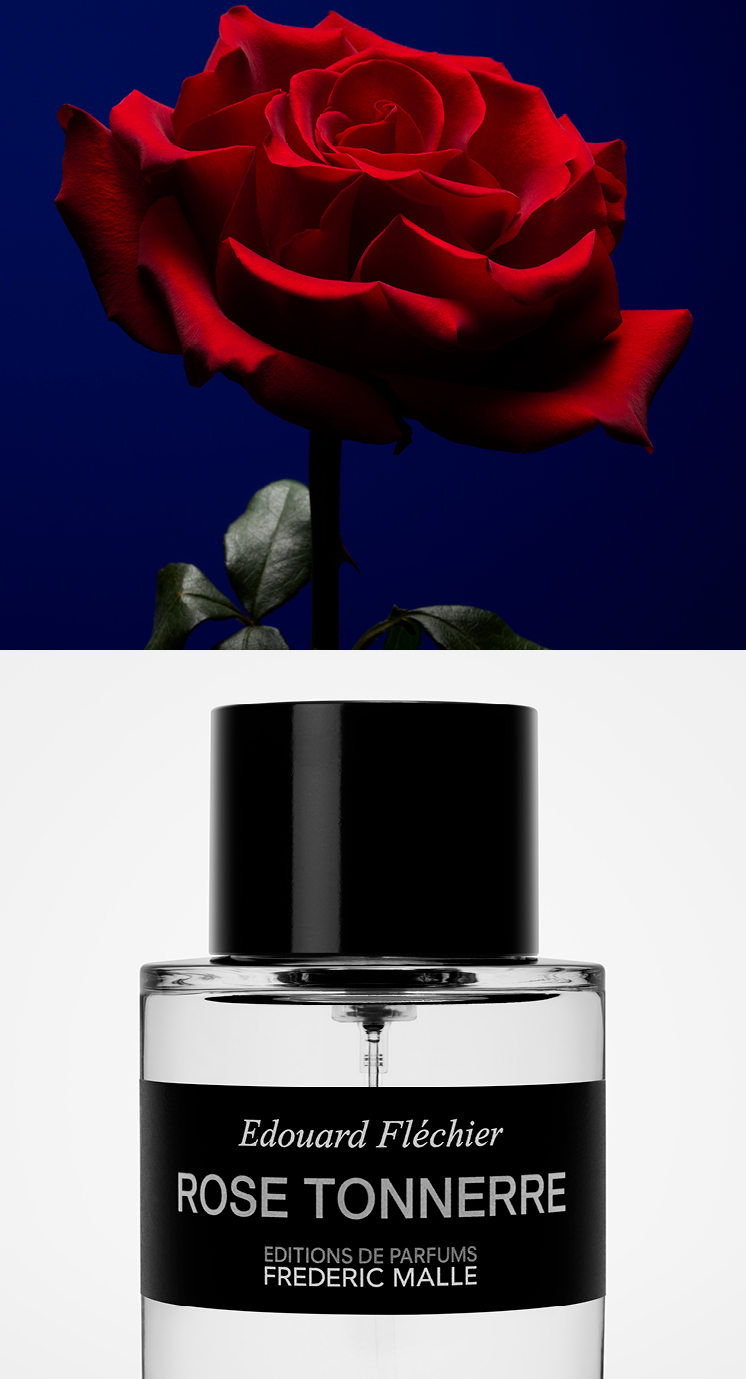 Image for Estee Lauder ELC Fragrances Second Slot 2024