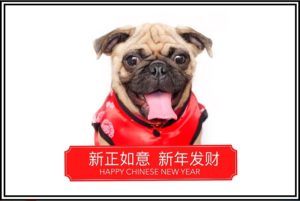 Canine campaign unleashed: Manchester Airport celebrates Chinese New