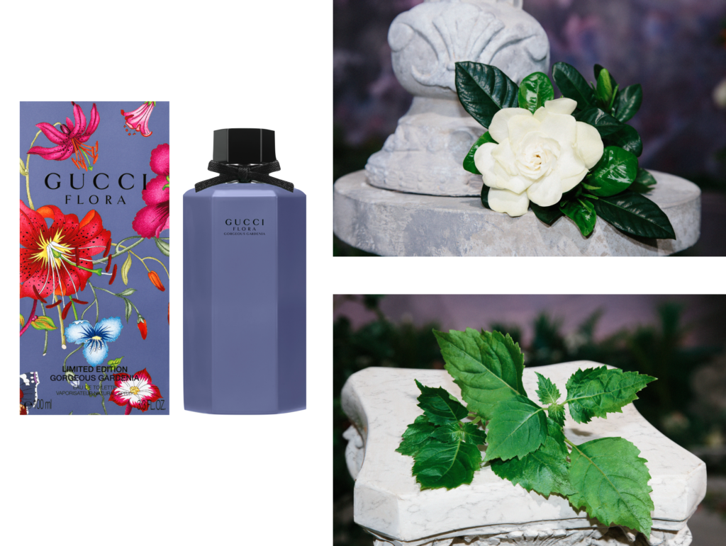 gucci gardenia flora limited edition