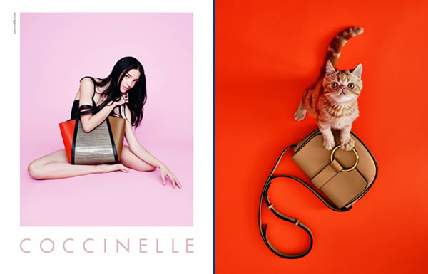 Model Mariacarla Boscono to front Coccinelle s SS16 collection