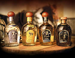 US distributor Haleybrooke International has signed an agreement to represent the super premium Tequila Siete Leguas in the duty free channel in the Americas