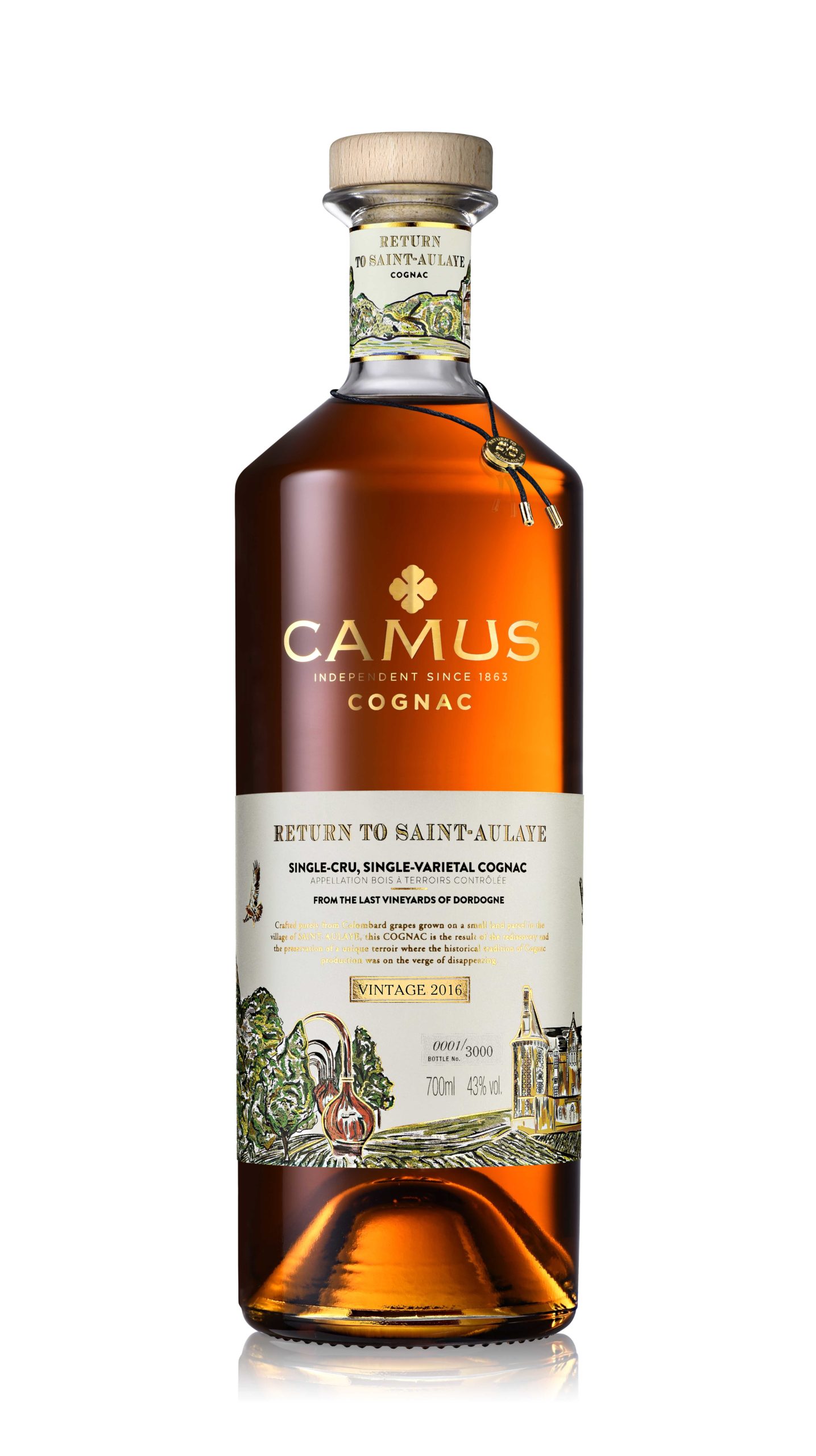 Camus-RTSA-1-scaled-1.jpg