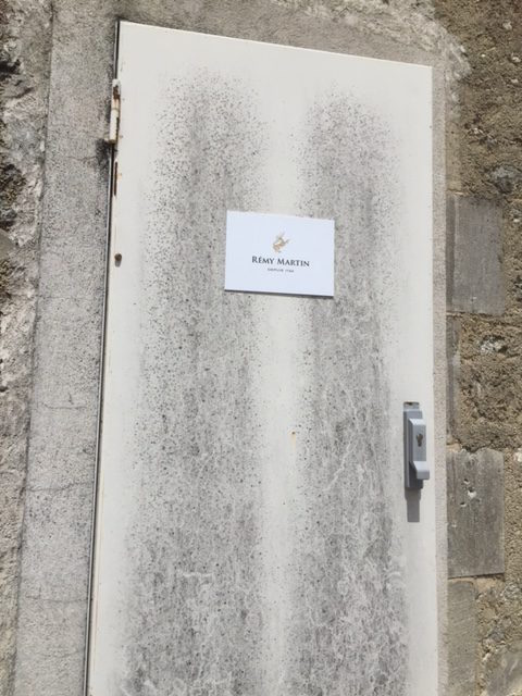 Unlocking the treasures of the brand: The door to the cellar in Gensac-la-Pallue, home to the cask that produced the new edition
