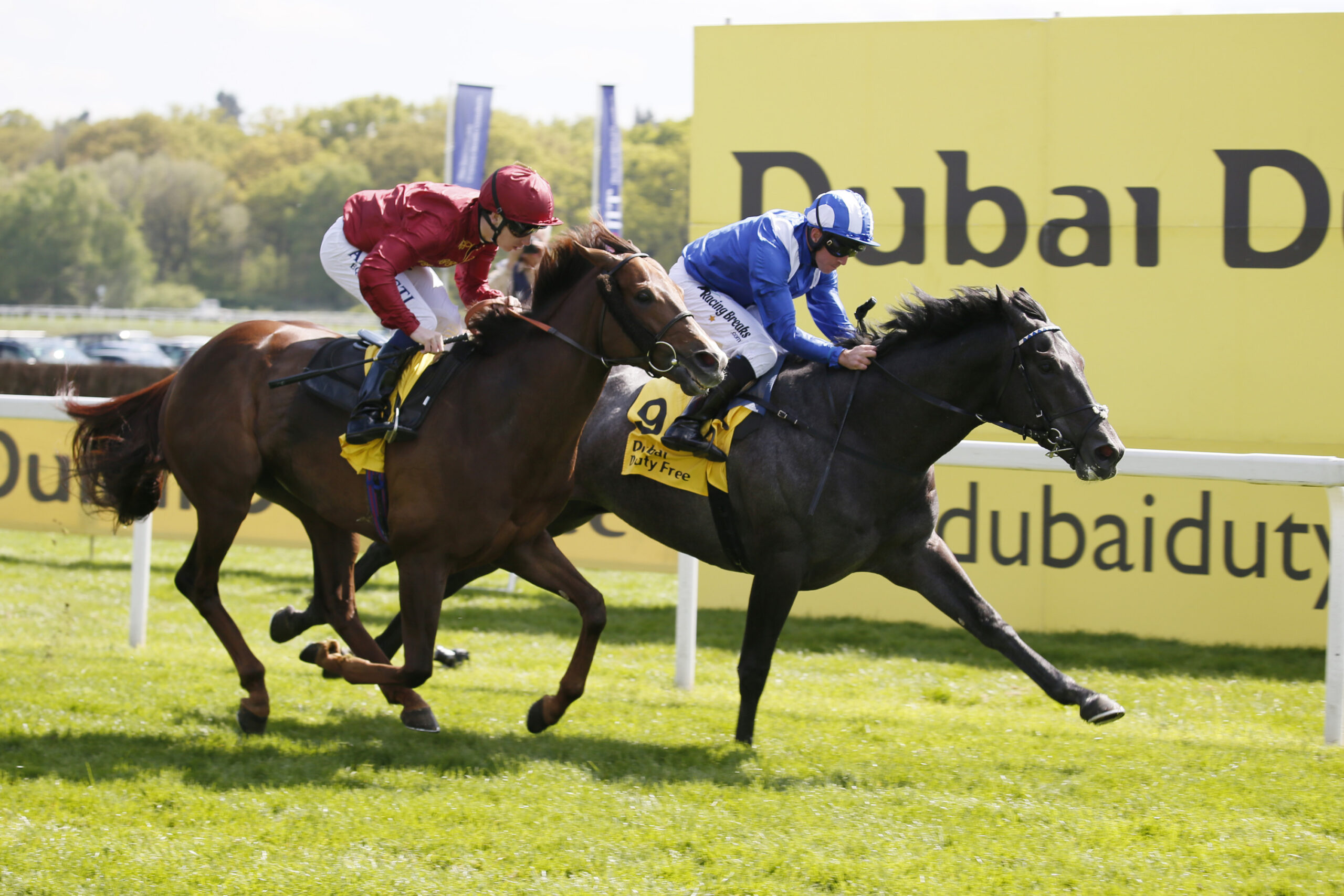 Day 2 -Muntahaa Dubai Duty Free races