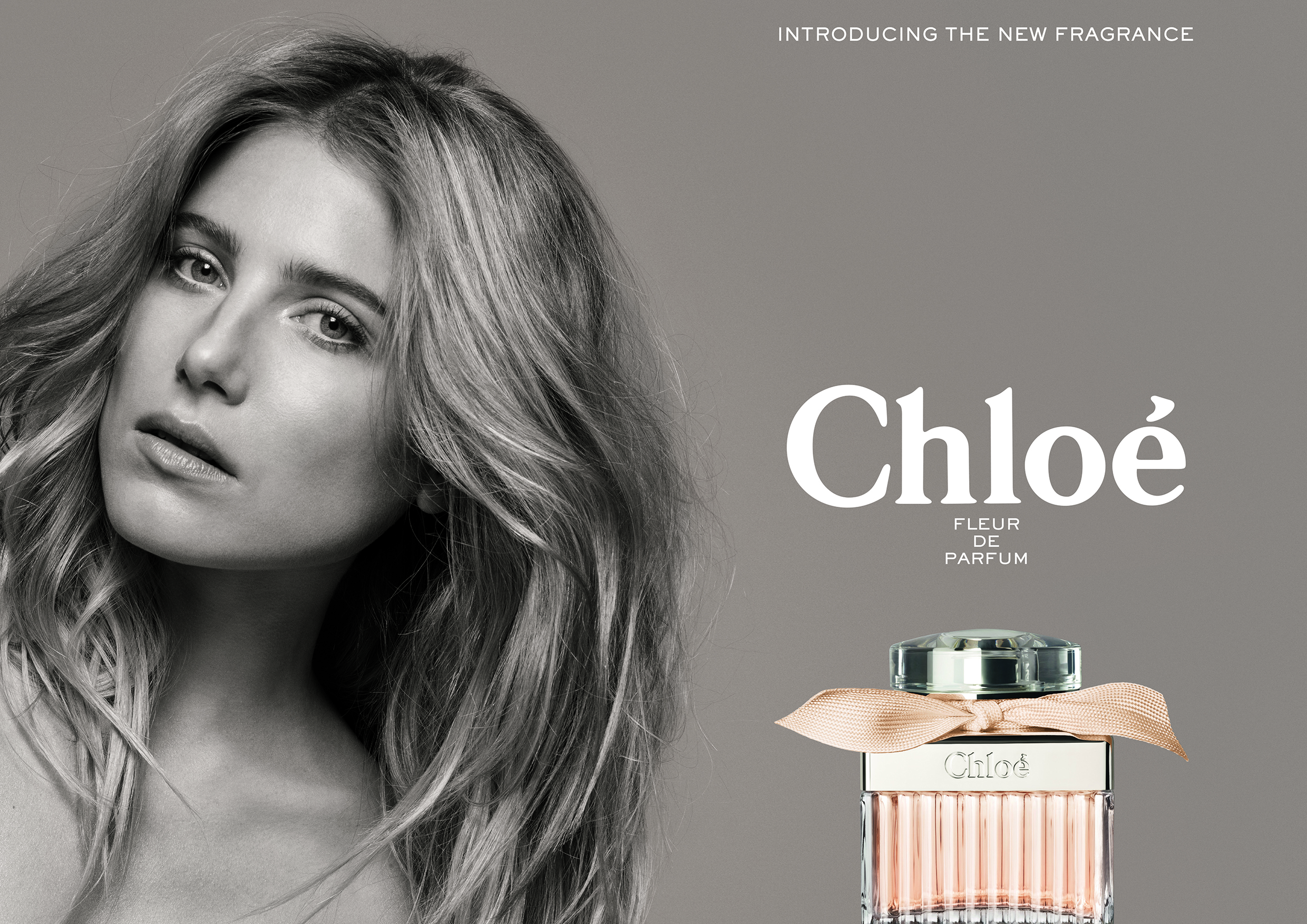 CHLOE╠ü-FDP-MODEL-DP