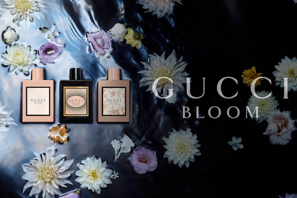 Gucii bloom online